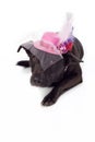 Black Mixed Breed Dog with Fancy Fascinator Hat Royalty Free Stock Photo