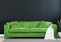 Black mock up wall with luxury shamrock green sofa in modern interior background, living room, Scandinavian style