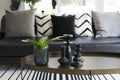 Modern vase and green leaf on center table with black and white pillows on sofa