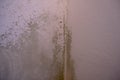 Black mold in the corner of the white ceiling. Macro mildew in the apartment. Humidity in the room Royalty Free Stock Photo