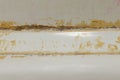 black mold on the edge of the bath Royalty Free Stock Photo