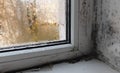 Black mold grows in the corner of a plastic window, Royalty Free Stock Photo