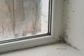 a white wall near the window with black mold. Royalty Free Stock Photo