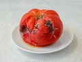 Black mold on a spoiled red tomato. Rotten tomato on a white plate over a rough white textural background. Spoiled fruits and Royalty Free Stock Photo