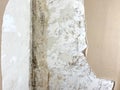 Black mold wall ceiling corner, problem on the wall Royalty Free Stock Photo