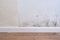 Black mold on the wall with wallpaper and plinth