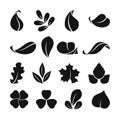 Black monochrome symbols of spring leaf. Vector shapes. Summer icon set isolate on white background Royalty Free Stock Photo
