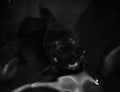 A Black Moor Goldfish or Dragon Eye Fish in Motion. Gasping for an air or wanting for some food Royalty Free Stock Photo