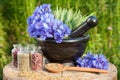 Black mortar with blue cornflowers, sage, wooden spoon and glass Royalty Free Stock Photo