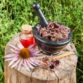 Black mortar with dried coneflowers and vial with essential oil Royalty Free Stock Photo