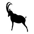 Black mountain goat silhouette Royalty Free Stock Photo