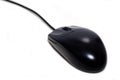 Black Mouse Royalty Free Stock Photo