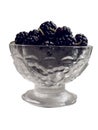 Black mulberries 1