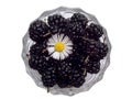 Black mulberries 2