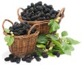 Black mulberries on baskets with leaves