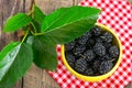 Black mulberry Royalty Free Stock Photo