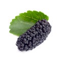 Black mulberry