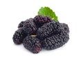 Black mulberry fruit Royalty Free Stock Photo