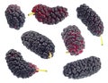 Black mulberry fruit set