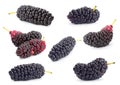 Black mulberry fruit set