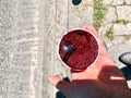 Black Mulberry Ice Cream Holding in Hand with Plastic Cup at Street / Take Away Sorbet Royalty Free Stock Photo
