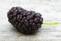 Black mulberry Morus nigra, one berry on the wood table