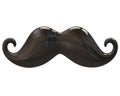 Black mustache Royalty Free Stock Photo