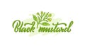 Black mustard green lettering with floral drawing