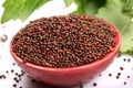 Black mustard seeds Royalty Free Stock Photo