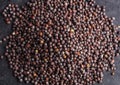 Black mustard seeds Royalty Free Stock Photo