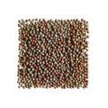 Black mustard seeds in square composition