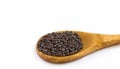 Black Mustard Seeds In Wooden Spoon. White Background. Selective Focus Royalty Free Stock Photo