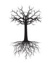 Black naked Tree with Roots. Vector Illustration and graphic element.