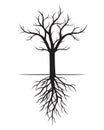 Black naked Tree with Roots. Vector Illustration