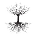 Black naked Tree white background. Vector Illustration