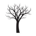 Black naked Tree white background. Vector Illustration