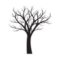 Black naked Tree white background. Vector Illustration Royalty Free Stock Photo