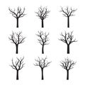 Black Naked Trees without leaves. Vector Illustration.