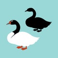 black -necked swan vector illustration style flat silhouette