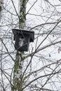 Black nesting box hanging on the birch tree in wintertime