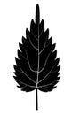 Black nettle leaf silhouette Royalty Free Stock Photo