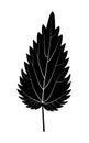 Black nettle leaf silhouette Royalty Free Stock Photo