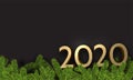 Black 2020 New Year background with shiny fir branches and gold figures