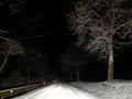Black night trees snow road winter time Royalty Free Stock Photo