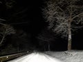 Black night trees snow road winter time