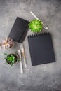 Notepads and potted succulents Royalty Free Stock Photo