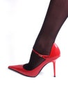 Black nylons and red shoe Royalty Free Stock Photo