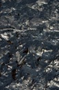 Black oil pollution 12 Royalty Free Stock Photo