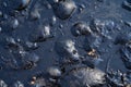 Black Oil Pollution 7 Royalty Free Stock Photo
