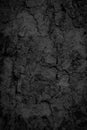 Black old bark background There are cracks in the texture of the old bark Royalty Free Stock Photo